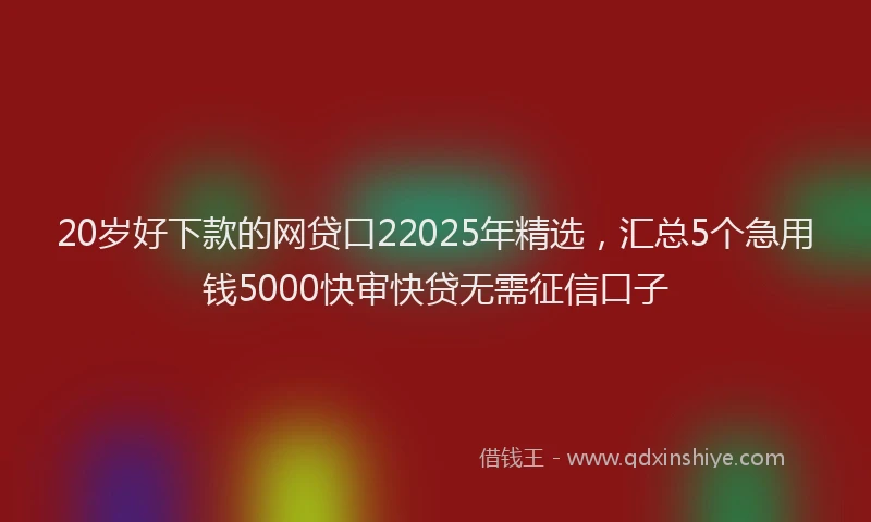 20岁好下款的网贷口22025年精选，汇总5个急用钱5000快审快贷无需征信口子