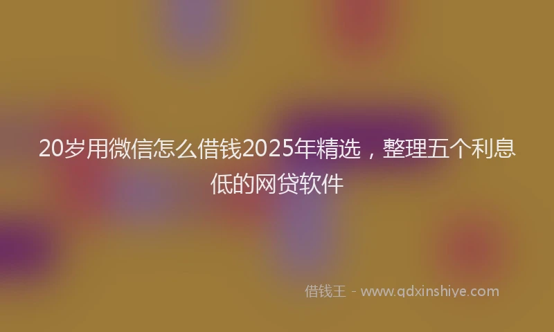 20岁用微信怎么借钱2025年精选，整理五个利息低的网贷软件