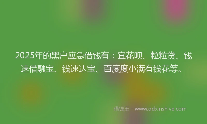 2025年的黑户应急借钱有：宜花呗、粒粒贷、钱速借融宝、钱速达宝、百度度小满有钱花等。