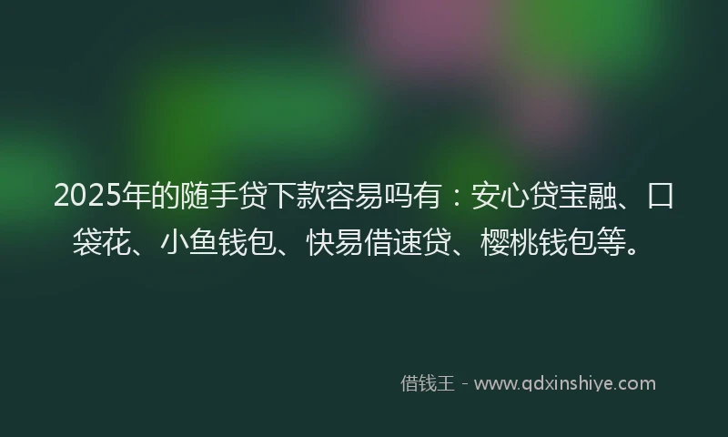 2025年的随手贷下款容易吗有：安心贷宝融、口袋花、小鱼钱包、快易借速贷、樱桃钱包等。