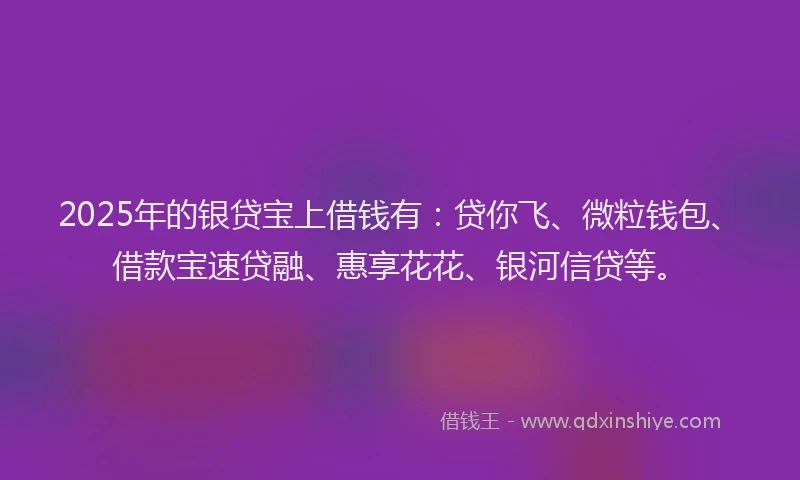 2025年的银贷宝上借钱有：贷你飞、微粒钱包、借款宝速贷融、惠享花花、银河信贷等。
