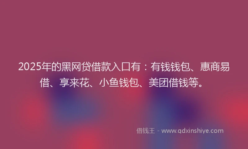 2025年的黑网贷借款入口有:有钱钱包、惠商易借、享来花、小鱼钱包、美团借钱等。