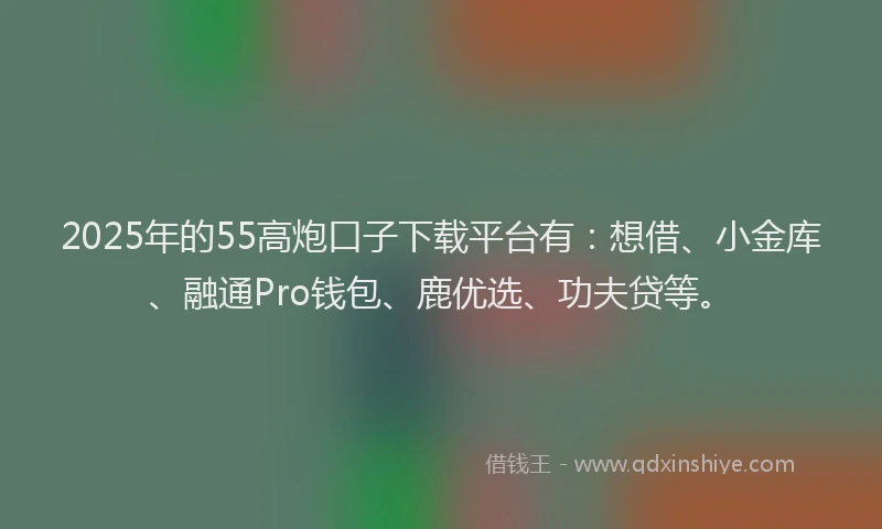 2025年的55高炮口子下载平台有：想借、小金库、融通Pro钱包、鹿优选、功夫贷等。