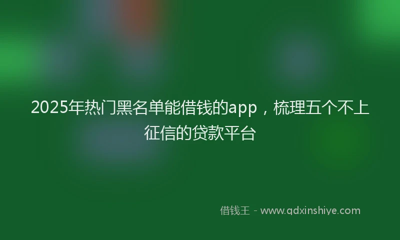 2025年热门黑名单能借钱的app,梳理五个不上征信的贷款平台