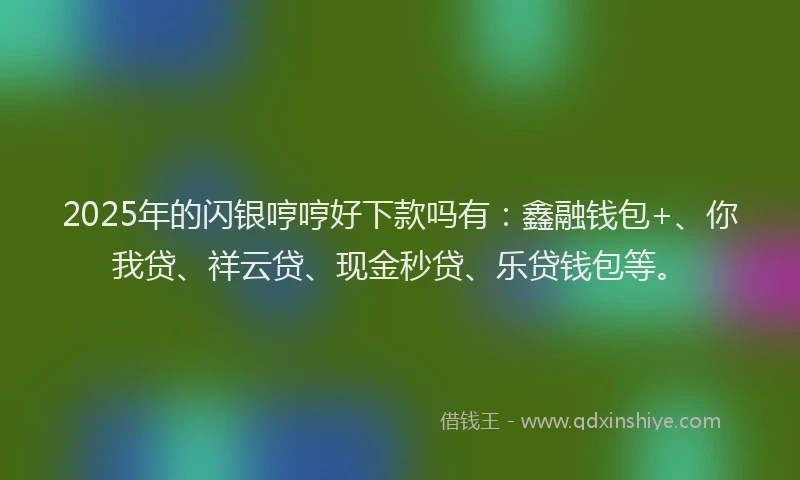 2025年的闪银哼哼好下款吗有：鑫融钱包+、你我贷、祥云贷、现金秒贷、乐贷钱包等。