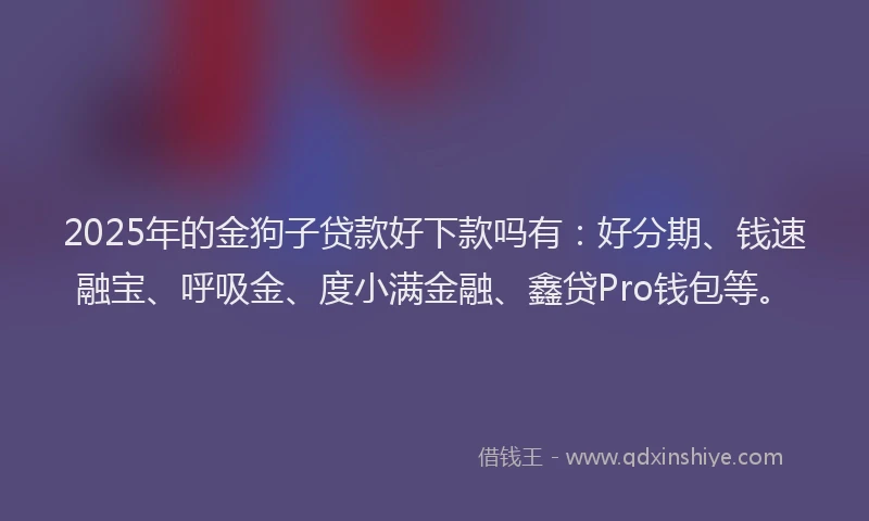 2025年的金狗子贷款好下款吗有：好分期、钱速融宝、呼吸金、度小满金融、鑫贷Pro钱包等。