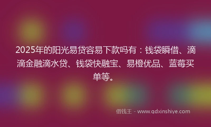 2025年的阳光易贷容易下款吗有:钱袋瞬借、滴滴金融滴水贷、钱袋快融宝、易橙优品、蓝莓买单等。