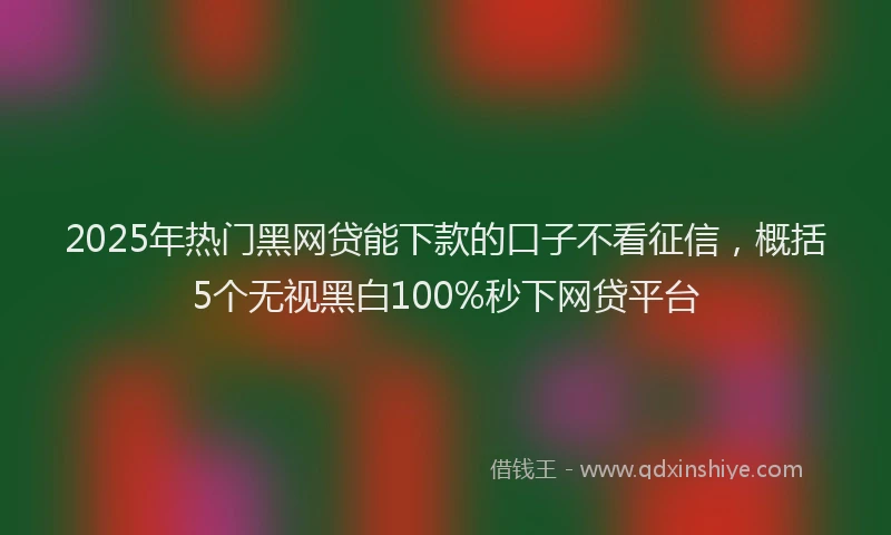 2025年热门黑网贷能下款的口子不看征信，概括5个无视黑白100%秒下网贷平台