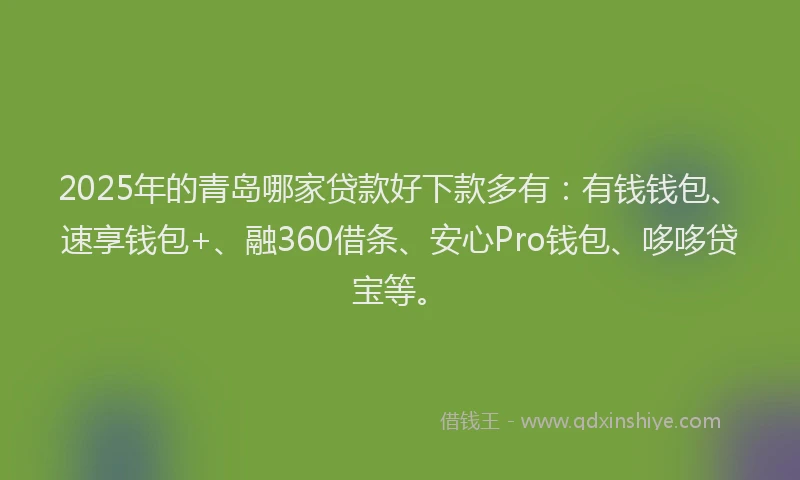 2025年的青岛哪家贷款好下款多有：有钱钱包、速享钱包+、融360借条、安心Pro钱包、哆哆贷宝等。