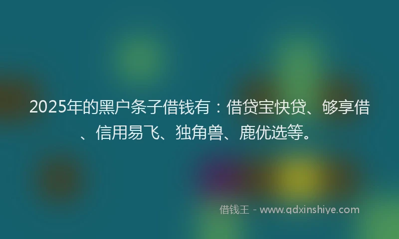 2025年的黑户条子借钱有：借贷宝快贷、够享借、信用易飞、独角兽、鹿优选等。