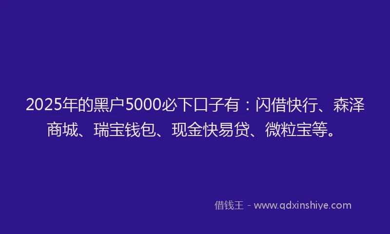2025年的黑户5000必下口子有：闪借快行、森泽商城、瑞宝钱包、现金快易贷、微粒宝等。