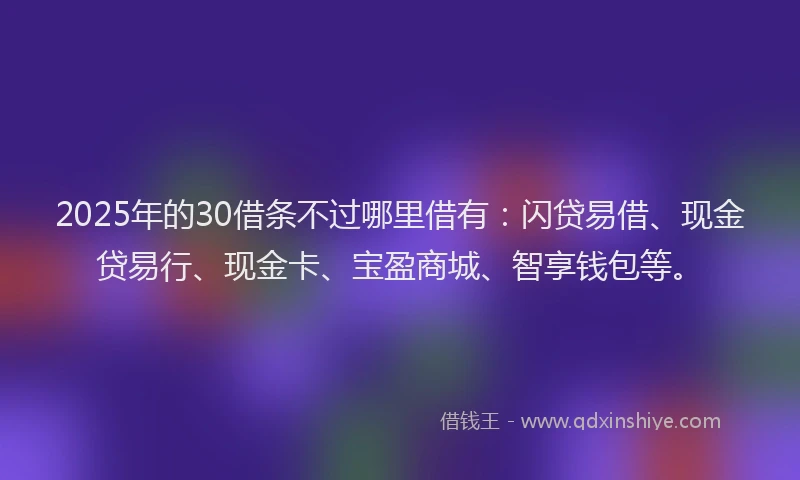 2025年的30借条不过哪里借有：闪贷易借、现金贷易行、现金卡、宝盈商城、智享钱包等。