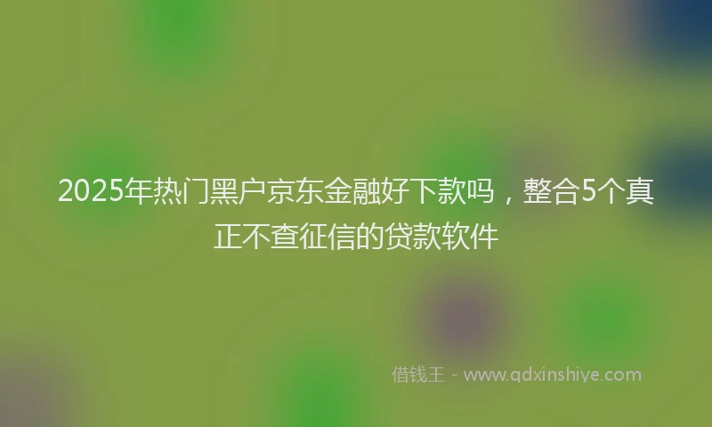 2025年热门黑户京东金融好下款吗，整合5个真正不查征信的贷款软件