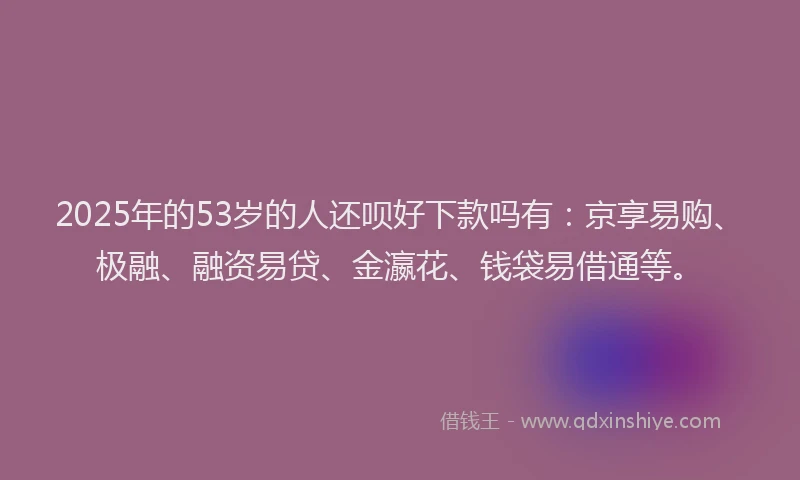 2025年的53岁的人还呗好下款吗有：京享易购、极融、融资易贷、金瀛花、钱袋易借通等。