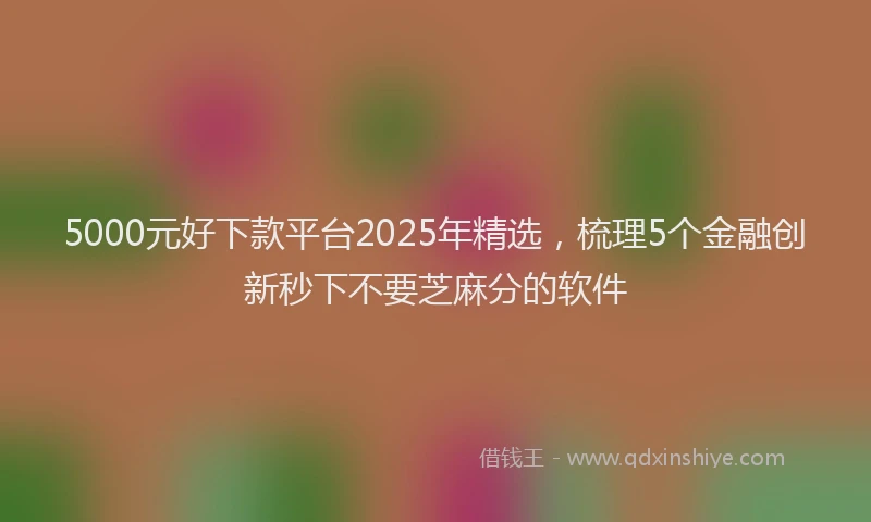 5000元好下款平台2025年精选，梳理5个金融创新秒下不要芝麻分的软件