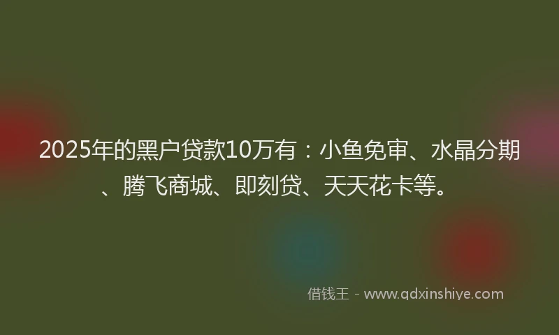 2025年的黑户贷款10万有：小鱼免审、水晶分期、腾飞商城、即刻贷、天天花卡等。