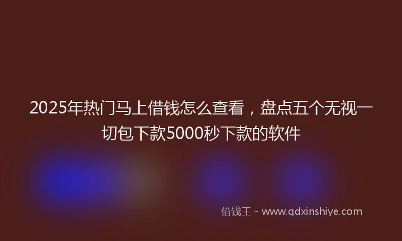 2025年热门马上借钱怎么查看，盘点五个无视一切包下款5000秒下款的软件
