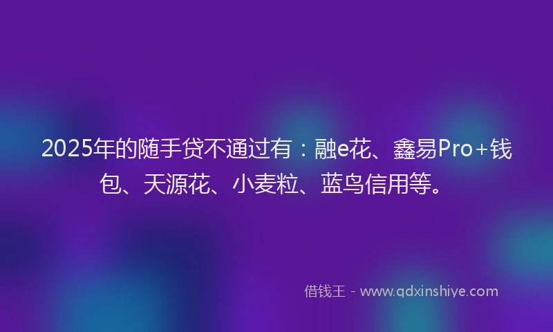 2025年的随手贷不通过有：融e花、鑫易Pro+钱包、天源花、小麦粒、蓝鸟信用等。