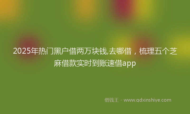 2025年热门黑户借两万块钱,去哪借，梳理五个芝麻借款实时到账速借app