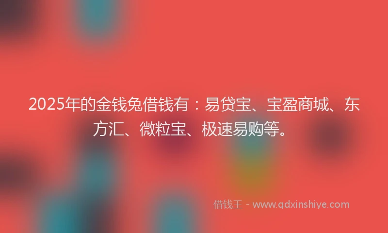 2025年的金钱兔借钱有：易贷宝、宝盈商城、东方汇、微粒宝、极速易购等。