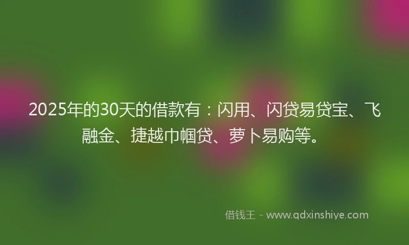 2025年的30天的借款有：闪用、闪贷易贷宝、飞融金、捷越巾帼贷、萝卜易购等。