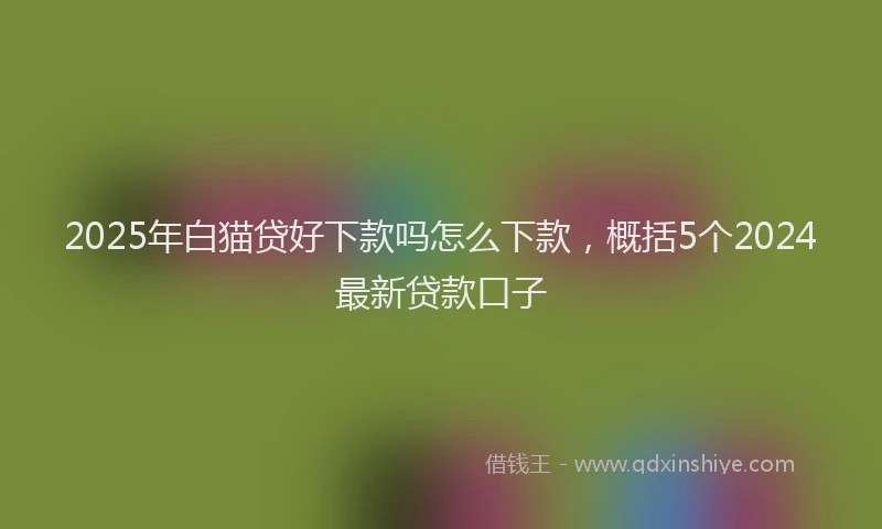 2025年白猫贷好下款吗怎么下款，概括5个2024最新贷款口子