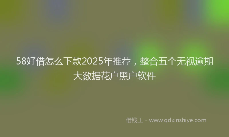 58好借怎么下款2025年推荐，整合五个无视逾期大数据花户黑户软件