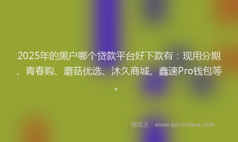 2025年的黑户哪个贷款平台好下款有：现用分期、青春购、蘑菇优选、沐久商城、鑫速Pro钱包等。
