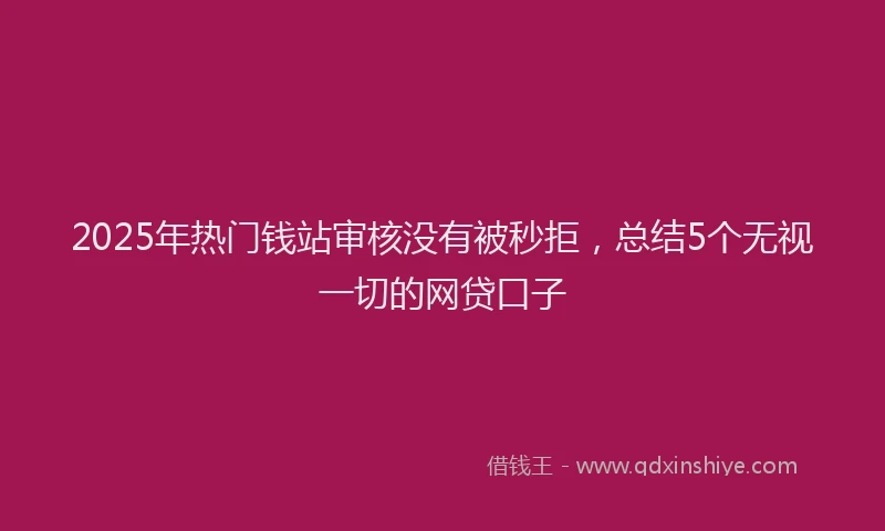 2025年热门钱站审核没有被秒拒，总结5个无视一切的网贷口子