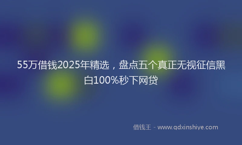55万借钱2025年精选，盘点五个真正无视征信黑白100%秒下网贷