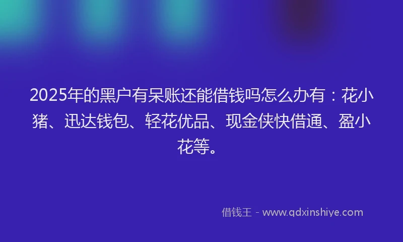 2025年的黑户有呆账还能借钱吗怎么办有：花小猪、迅达钱包、轻花优品、现金侠快借通、盈小花等。