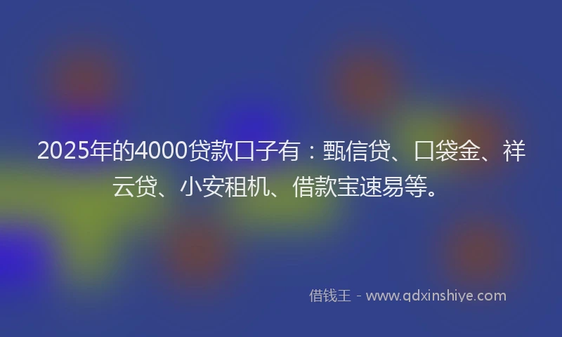 2025年的4000贷款口子有：甄信贷、口袋金、祥云贷、小安租机、借款宝速易等。