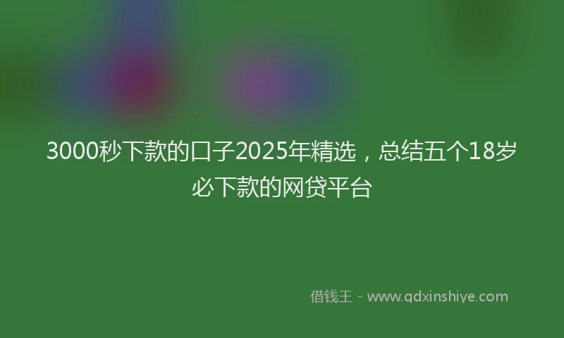 3000秒下款的口子2025年精选，总结五个18岁必下款的网贷平台