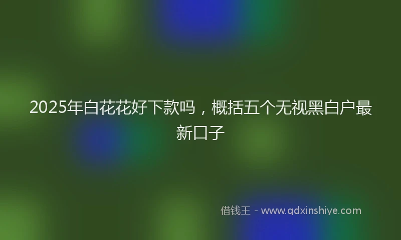 2025年白花花好下款吗，概括五个无视黑白户最新口子