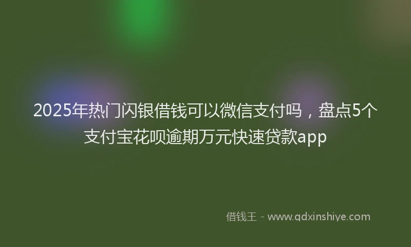 2025年热门闪银借钱可以微信支付吗,盘点5个支付宝花呗逾期万元快速贷款app