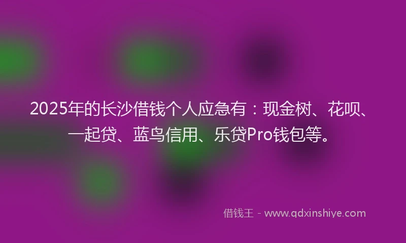 2025年的长沙借钱个人应急有:现金树、花呗、一起贷、蓝鸟信用、乐贷Pro钱包等。