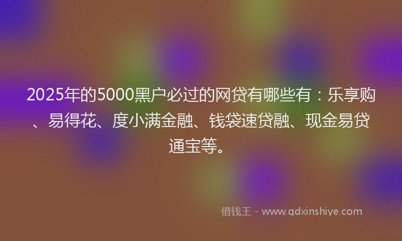 2025年的5000黑户必过的网贷有哪些有：乐享购、易得花、度小满金融、钱袋速贷融、现金易贷通宝等。