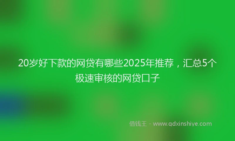20岁好下款的网贷有哪些2025年推荐，汇总5个极速审核的网贷口子