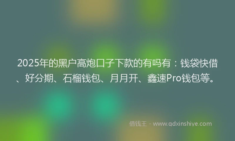 2025年的黑户高炮口子下款的有吗有：钱袋快借、好分期、石榴钱包、月月开、鑫速Pro钱包等。