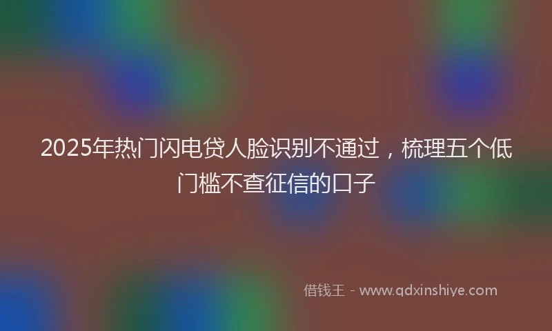2025年热门闪电贷人脸识别不通过，梳理五个低门槛不查征信的口子