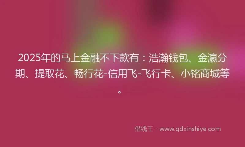 2025年的马上金融不下款有：浩瀚钱包、金瀛分期、提取花、畅行花-信用飞-飞行卡、小铭商城等。
