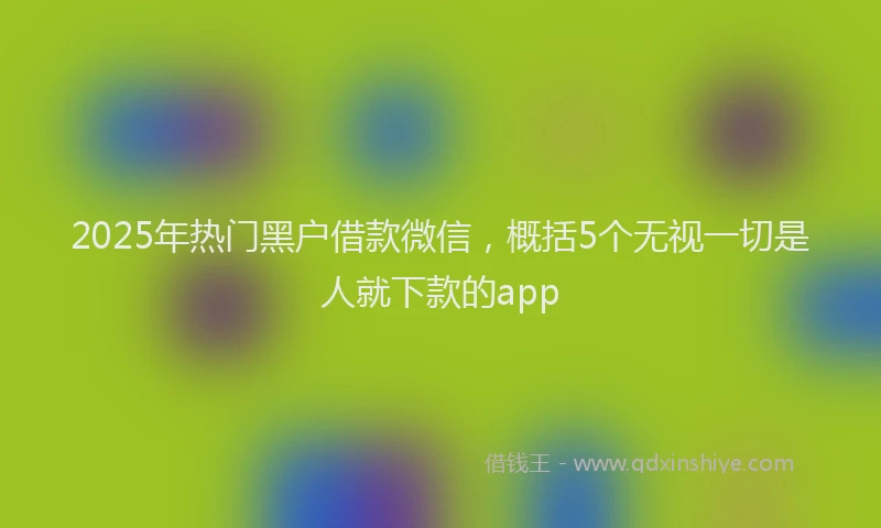 2025年热门黑户借款微信，概括5个无视一切是人就下款的app