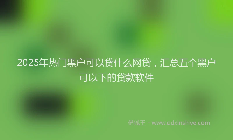 2025年热门黑户可以贷什么网贷，汇总五个黑户可以下的贷款软件
