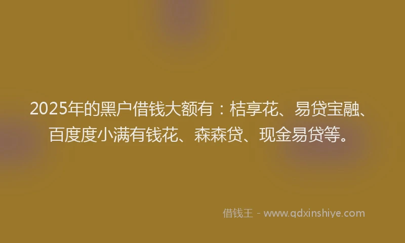 2025年的黑户借钱大额有：桔享花、易贷宝融、百度度小满有钱花、森森贷、现金易贷等。