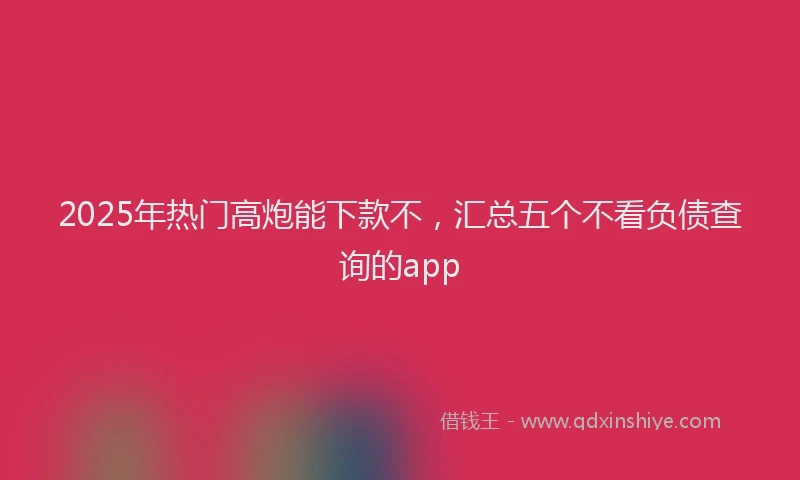 2025年热门高炮能下款不，汇总五个不看负债查询的app
