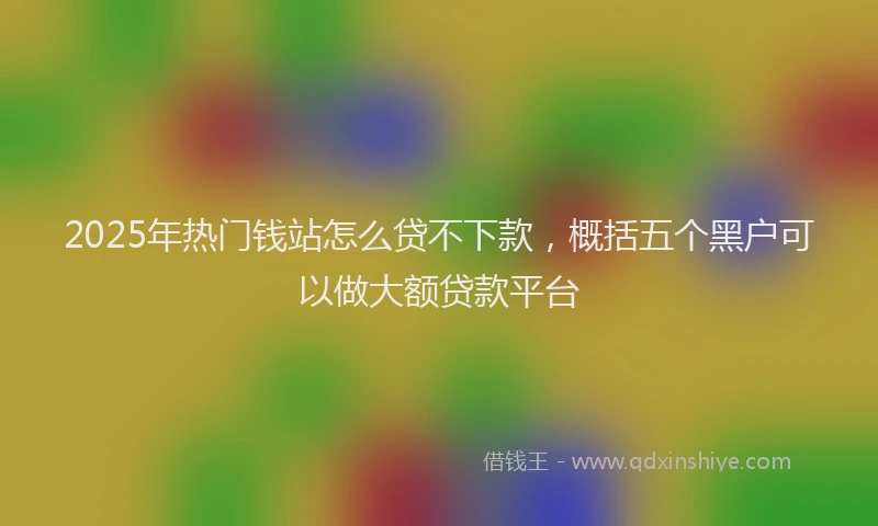 2025年热门钱站怎么贷不下款，概括五个黑户可以做大额贷款平台