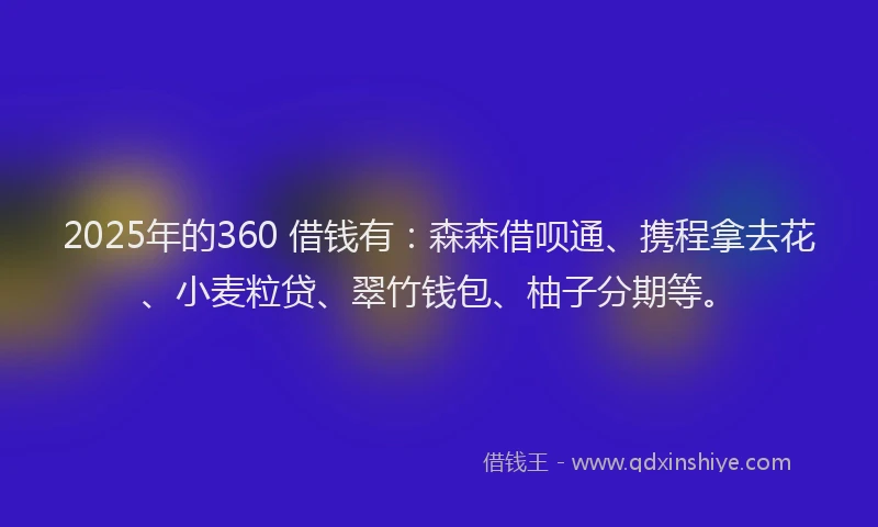 2025年的360 借钱有：森森借呗通、携程拿去花、小麦粒贷、翠竹钱包、柚子分期等。