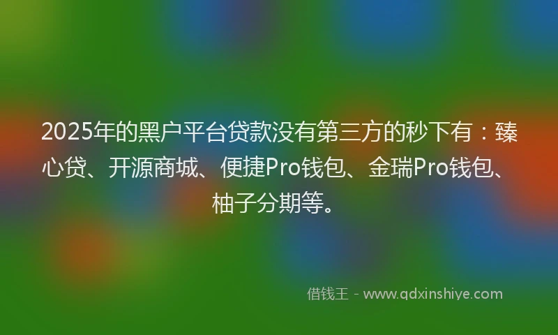 2025年的黑户平台贷款没有第三方的秒下有：臻心贷、开源商城、便捷Pro钱包、金瑞Pro钱包、柚子分期等。