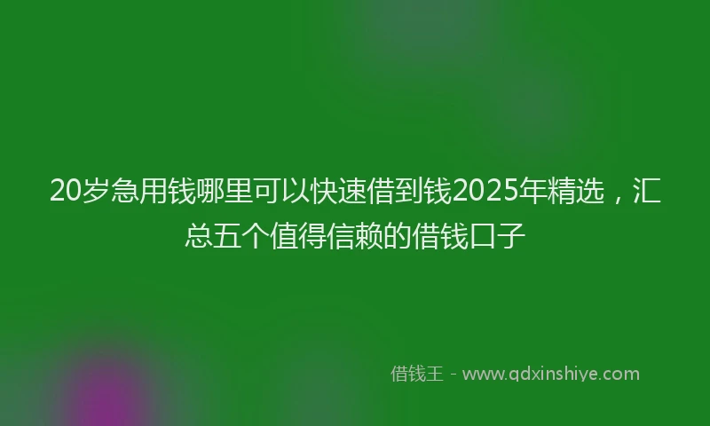 20岁急用钱哪里可以快速借到钱2025年精选，汇总五个值得信赖的借钱口子