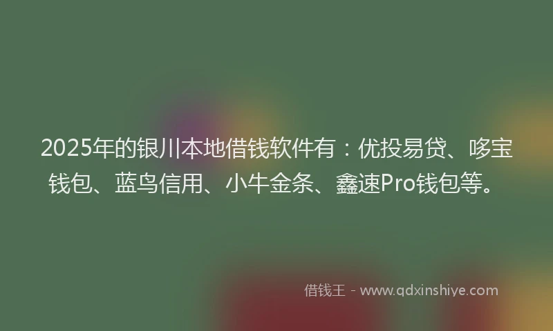 2025年的银川本地借钱软件有:优投易贷、哆宝钱包、蓝鸟信用、小牛金条、鑫速Pro钱包等。